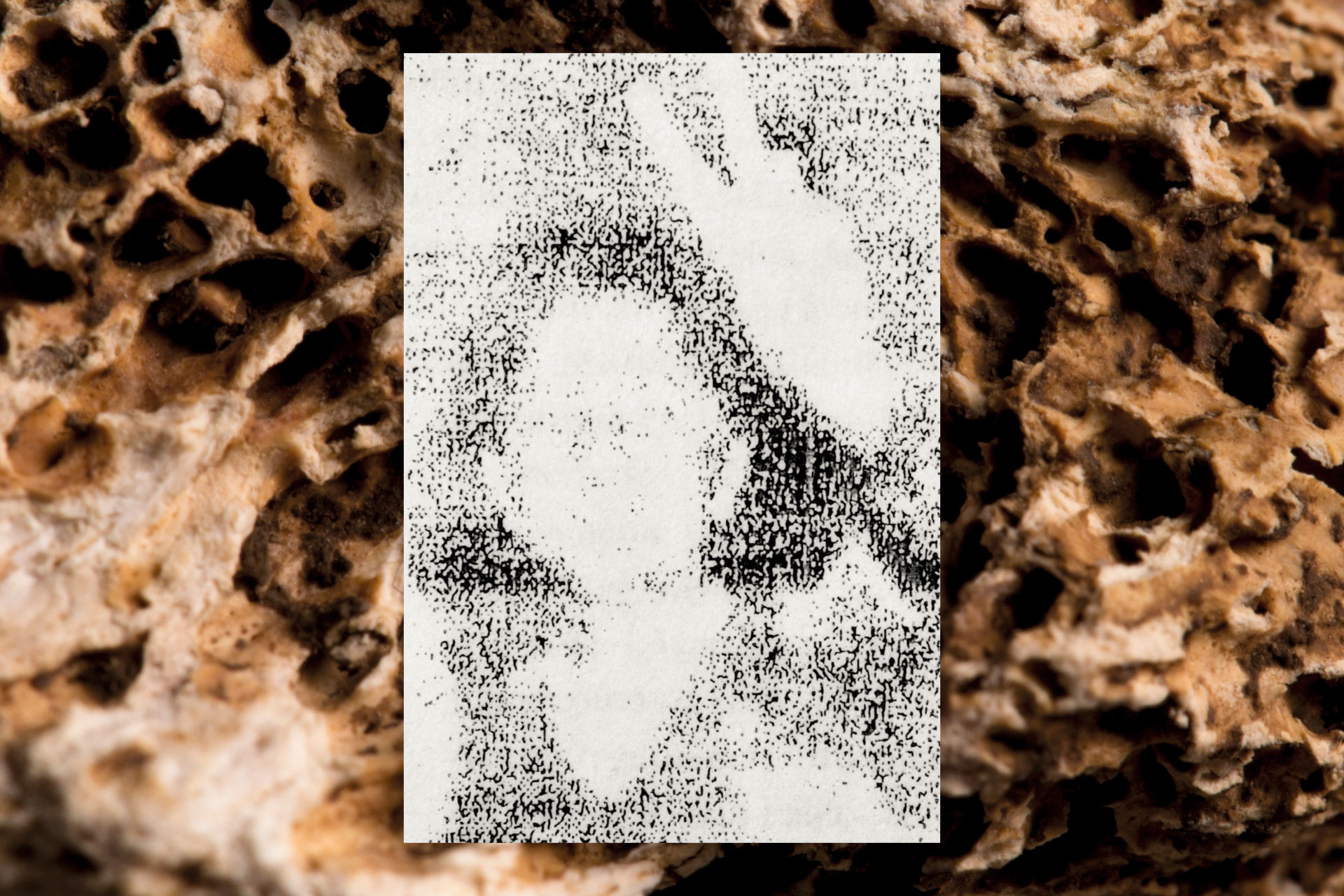 Contrades_01